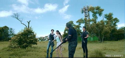 国产鸡情,探寻我国鸡肉产业的崛起之路