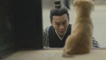 国产男人的天堂,男人的天堂，情感与激情的完美融合