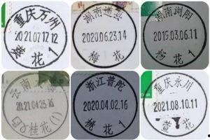 成人久久网91精产品,探索成人娱乐领域的创新与变革